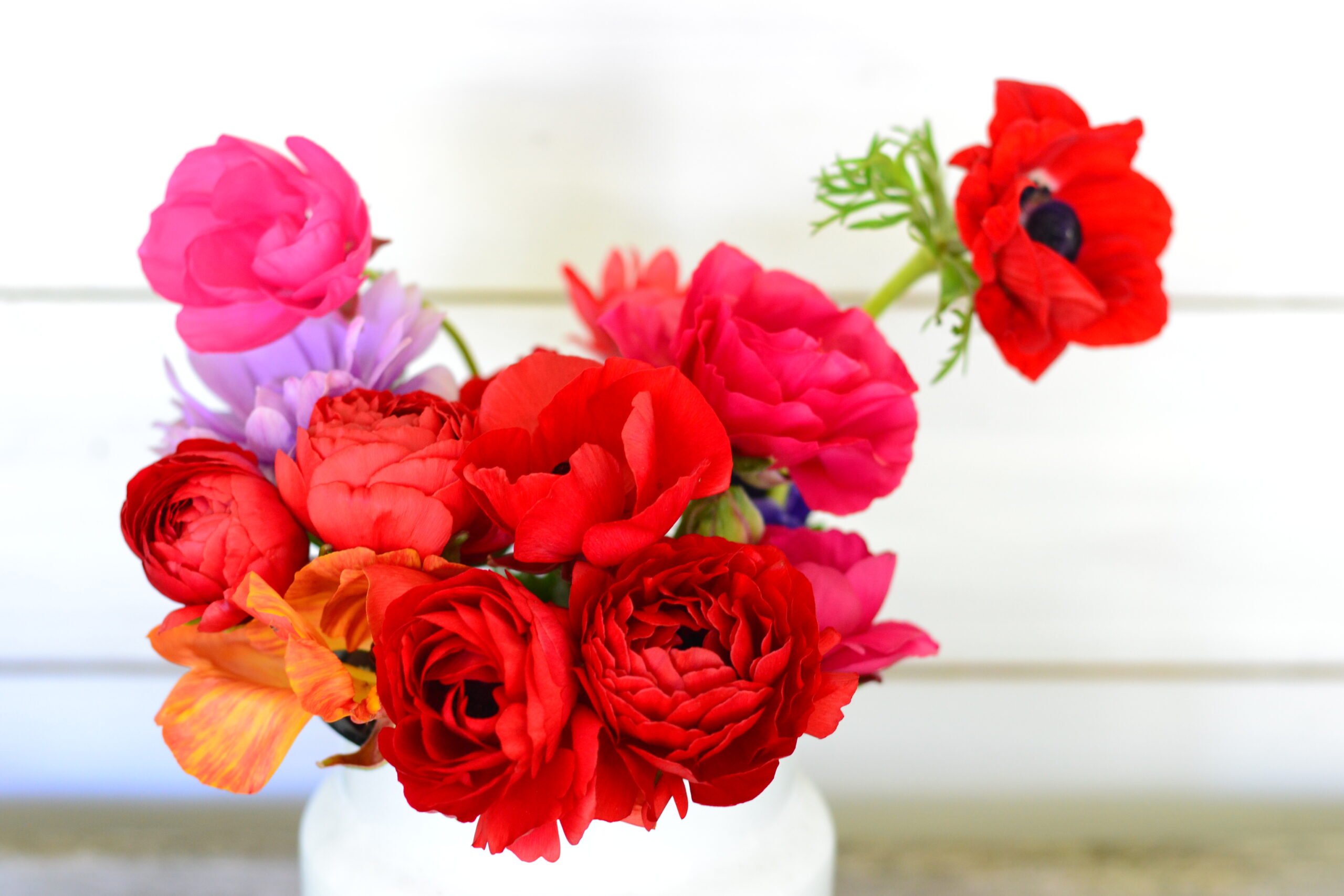 Colour Pop - Bloom Room Studio LTD - Anemone & Ranunculus Vase