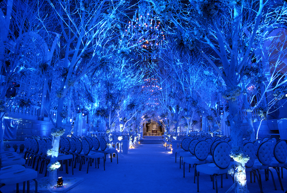 Blue Winter Wedding Ceremony